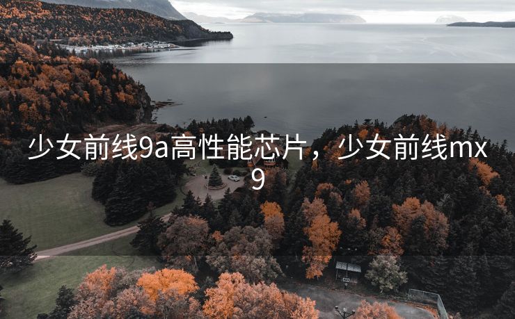 少女前线9a高性能芯片，少女前线mx9