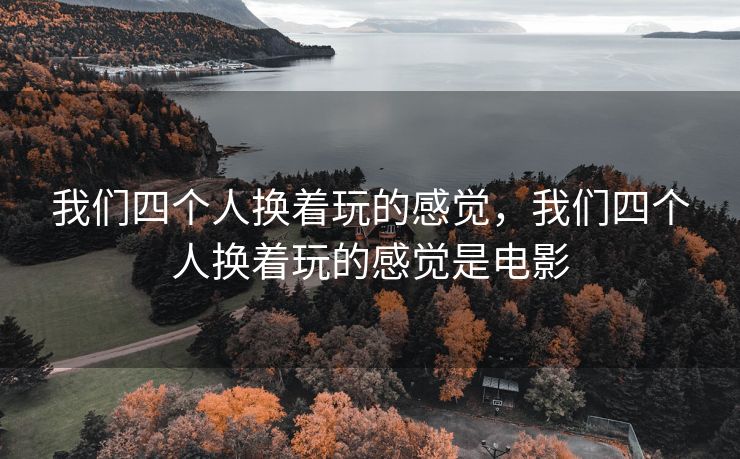 我们四个人换着玩的感觉，我们四个人换着玩的感觉是电影