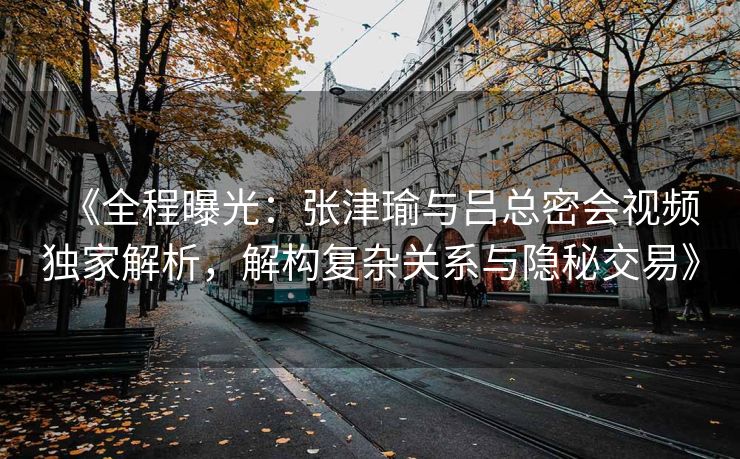 《全程曝光：张津瑜与吕总密会视频独家解析，解构复杂关系与隐秘交易》