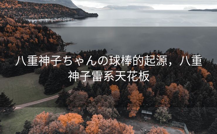 八重神子ちゃんの球棒的起源，八重神子雷系天花板