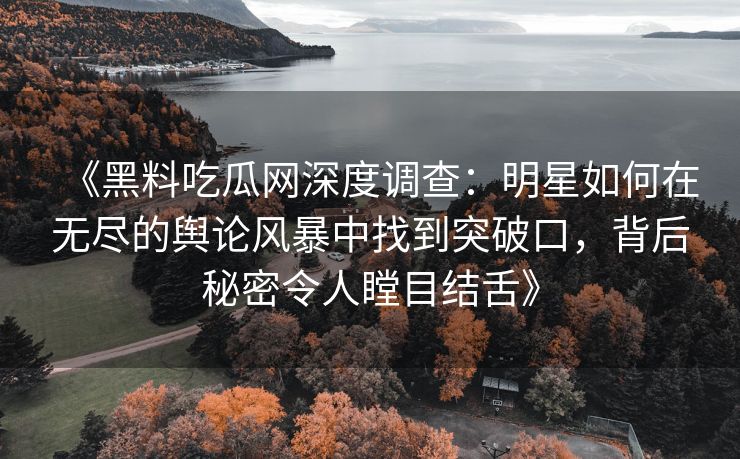 《黑料吃瓜网深度调查：明星如何在无尽的舆论风暴中找到突破口，背后秘密令人瞠目结舌》